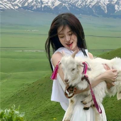 月陨回声